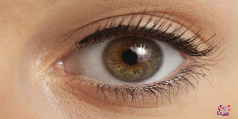 علاج ارتفاع ضغط العين وهل يمكن الوقاية منه؟