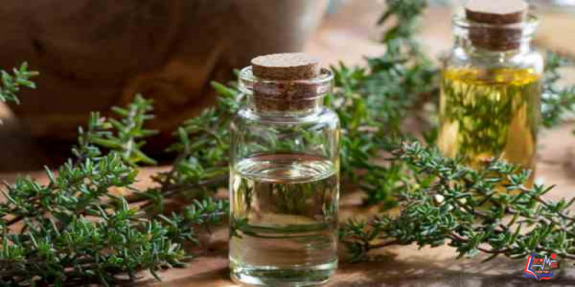 فوائد زيت الزعتر: وأشهر الاستخدامات والوصفات العلاجية