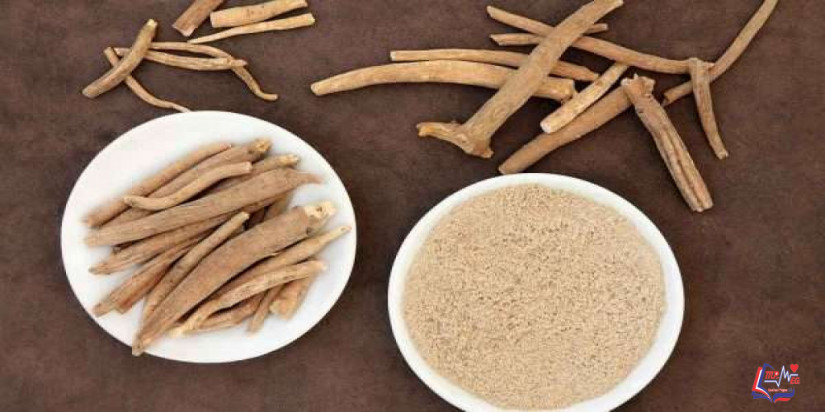 الاشواجندا وفوائدها الصحية المتعددة.. تعرف عليها