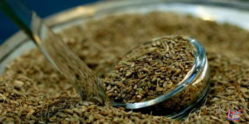 ما هي فوائد اليانسون على الريق ؟