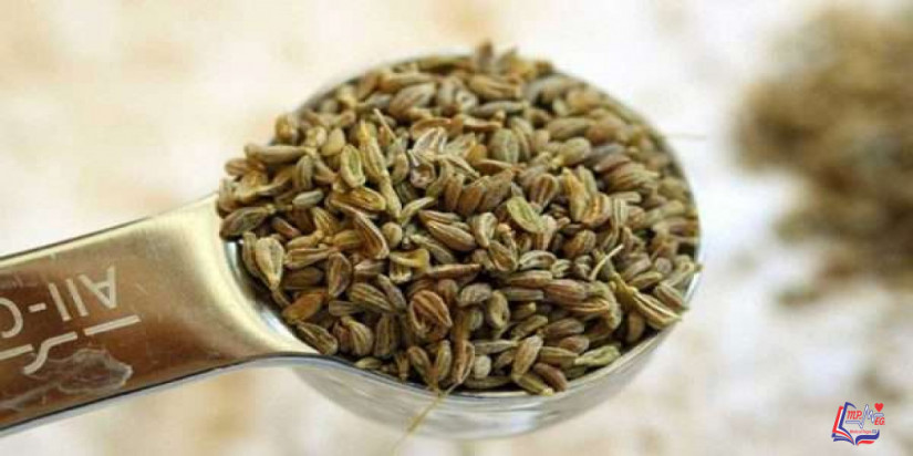 ما هي فوائد اليانسون للصوت ؟