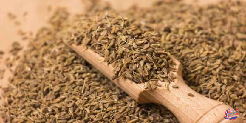 فوائد اليانسون لتكبير الثدي والارداف.. هل ينجح ذلك؟