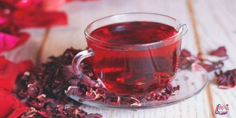 الكركديه والضغط .. كيف يؤثر الكركديه على الضغط؟