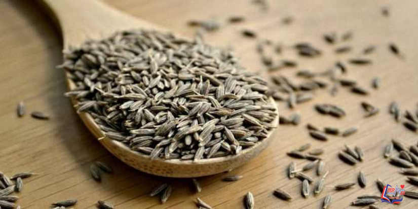 فوائد الكمون والليمون .. هل بالفعل يساعدان على فقدان الوزن؟