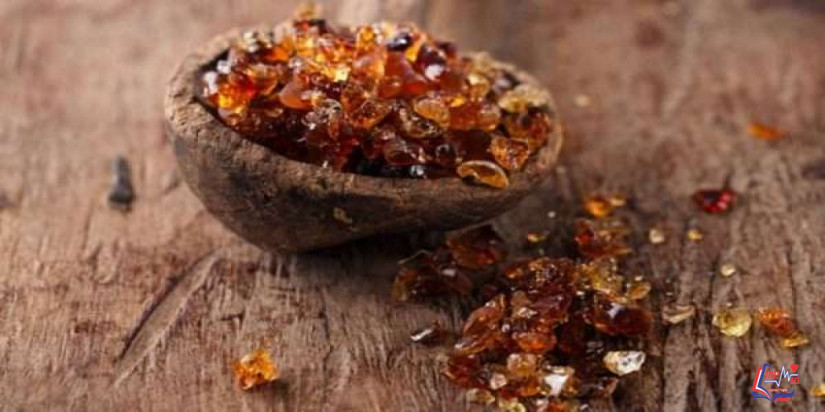 اضرار الصمغ العربي وآثاره الجانبية المحتملة.. واحذر تفاعله مع هذا الدواء