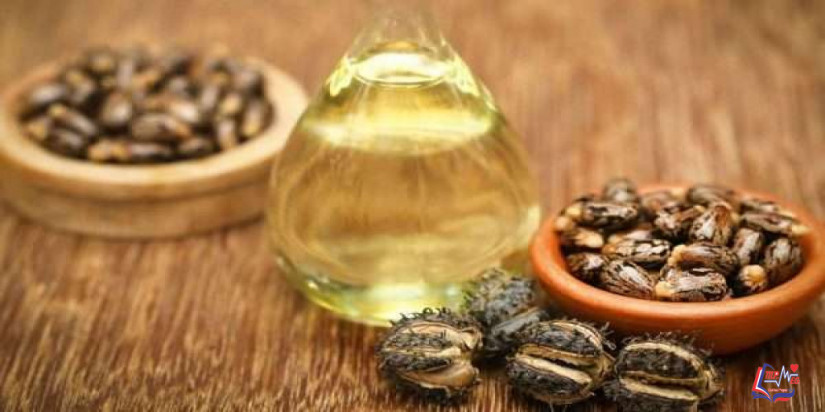 فوائد زيت الخروع للبطن .. استخداماته وآثاره الجانبية ونصائح هامة