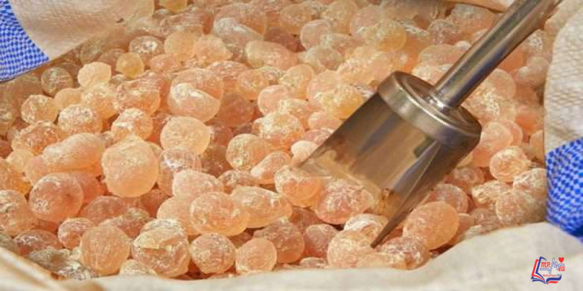 فوائد المستكة .. نكهة لذيذة وفوائد صحية وجمالية