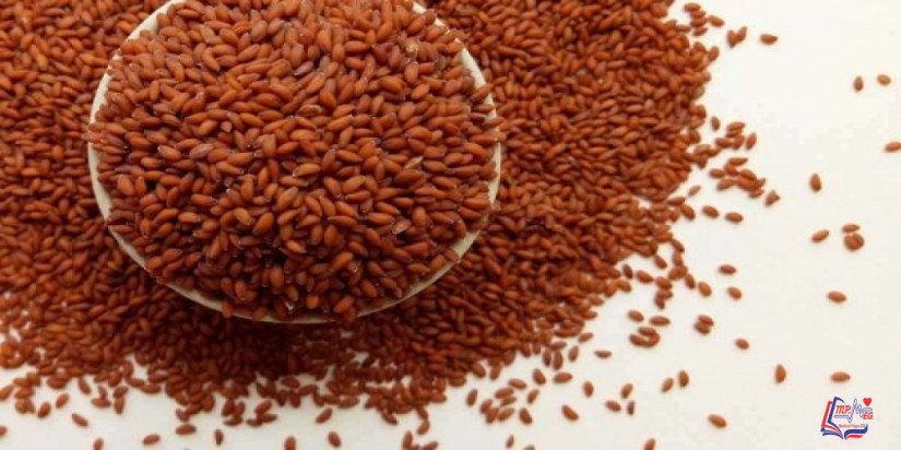 فوائد حب الرشاد وأضراره