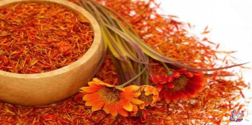 فوائد العصفر .. وأهم فوائد زيت العصفر