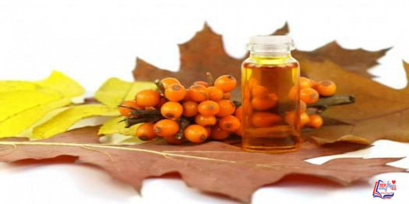 فوائد عسل السدر و أهم إستخداماته