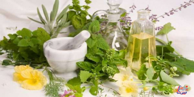 أعشاب لزيادة الطاقة و النشاط