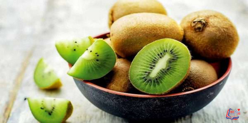 تناول الكيوي يومياً لذلك السبب