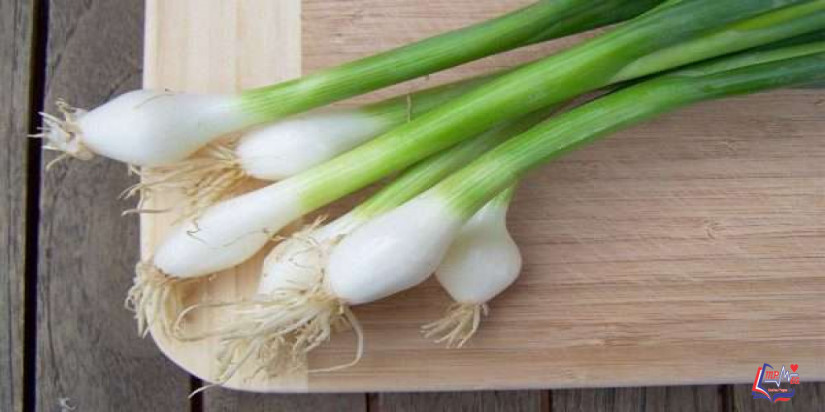 البصل الأخضر علاج مفيد