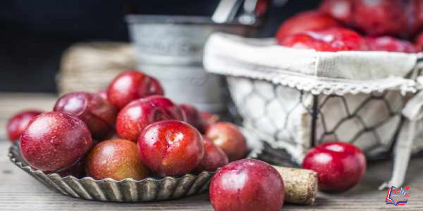 البرقوق غذاء ودواء