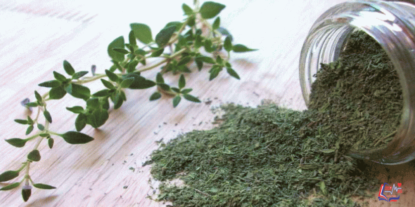 فوائد الزعتر و استخداماته المدهشة في المنزل