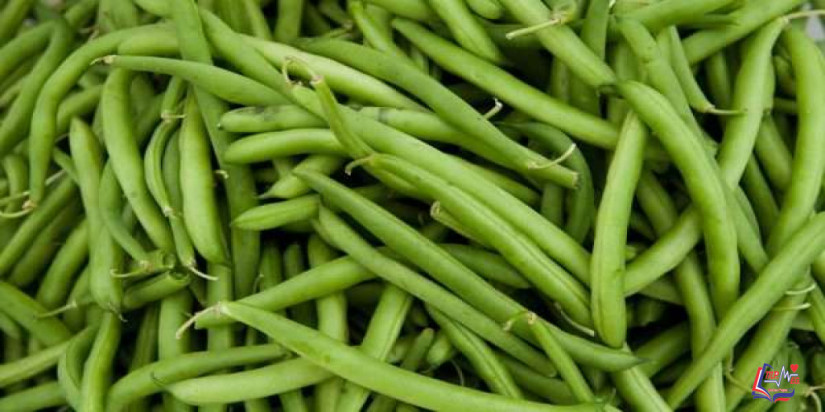 فوائد الفاصوليا الخضراء تنعش صحتك و تحميك من الأمراض