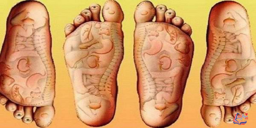 العلاج الانعكاسي وخريطة القدمين .. ما بين الفوائد والتطبيق