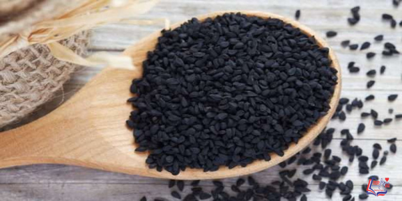 فوائد حبة البركة أو فوائد الحبة السوداء .. وكل ما تريد معرفته عنها