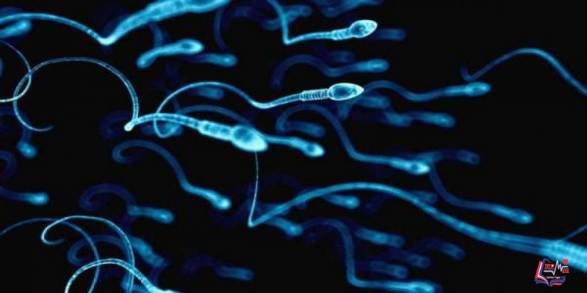 اسباب لزوجة السائل المنوي وعلاجه بطرق مختلفة