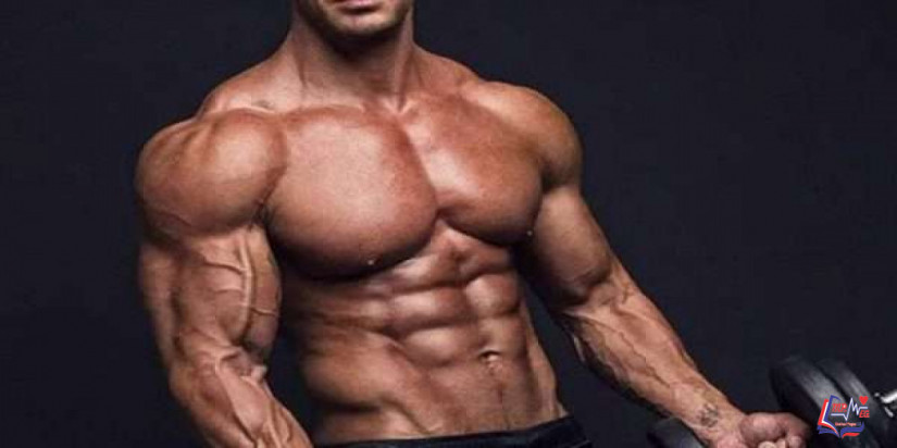 انفوجرافيك  نصائح مهمة لبناء العضلات