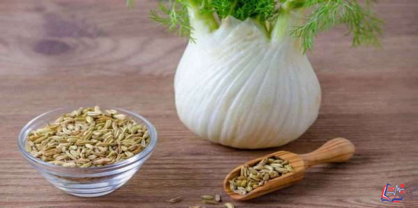 فوائد الشمر للهرمونات .. تعرفي عليها معنا