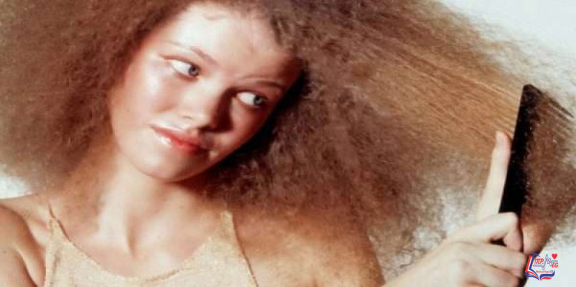 أهم وأفضل ماسك للشعر الجاف .. وكيفية صنع ماسكات طبيعية للشعر الجاف