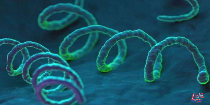 اعراض مرض الزهري عند النساء وأسبابه، ومراحله، وكيفية علاجه