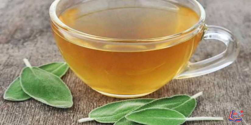 فوائد الميرمية للدورة الشهرية وآثارها الجانبية وتحذيرات هامة