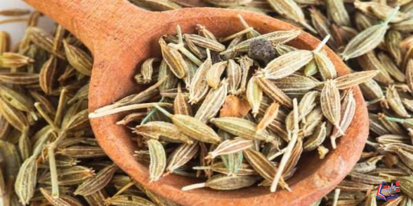 فوائد اليانسون للمرأة في فترة الحيض .. وتحذيرات مهمة لكِ