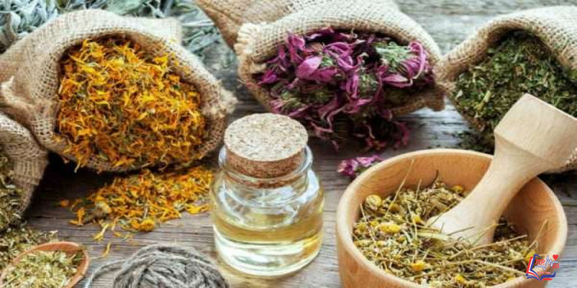 طرق تكبير الثدي بالأعشاب ووصفات طبيعية