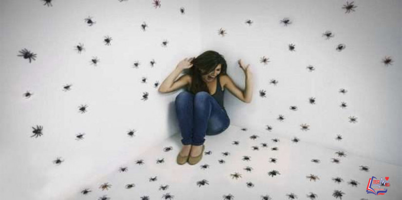 فوبيا الحشرات أعراضها وأسبابها وعلاجها..تخلص منها!