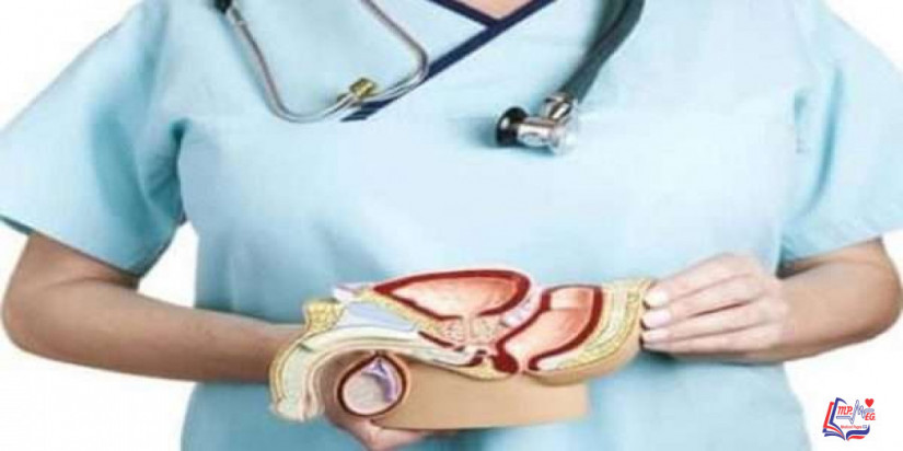 استئصال البروستاتا والجماع .. هل استئصال البروستاتا يسبب العجز الجنسي؟