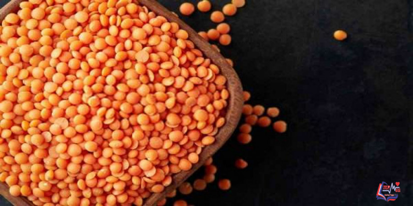 فوائد العدس للجنس .. تعرفوا عليها معنا