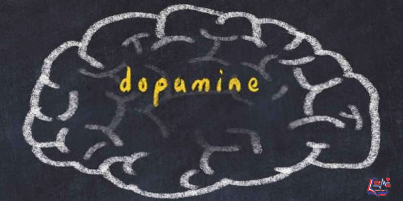 الدوبامين والجنس .. ما علاقة نقص الدوبامين بانخفاض الرغبة الجنسية؟
