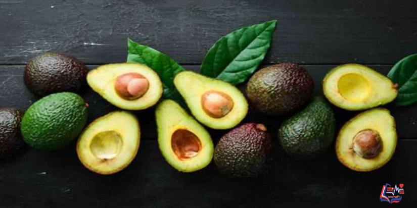 فوائد الافوكادو للجنس .. كيف يفيد الرجال؟