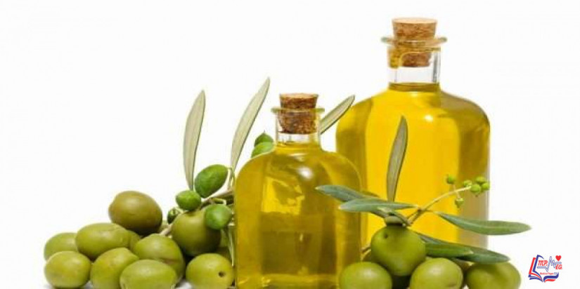 فوائد زيت الزيتون للعضو الذكري .. هل هي حقيقة أم وهم؟