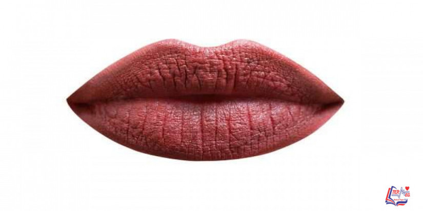 الجنس الفموي  بين الفوائد والأضرار !