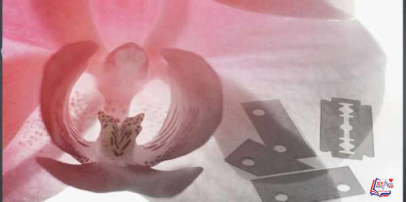 ختان الاناث .. أسئلة و حقائق يجب أن تعرفها عنه !