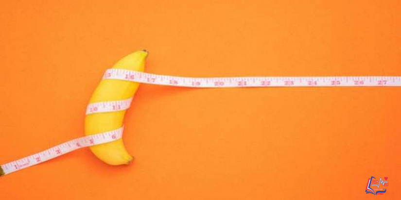 القضيب وحقائق علمية مؤثرة فيه!