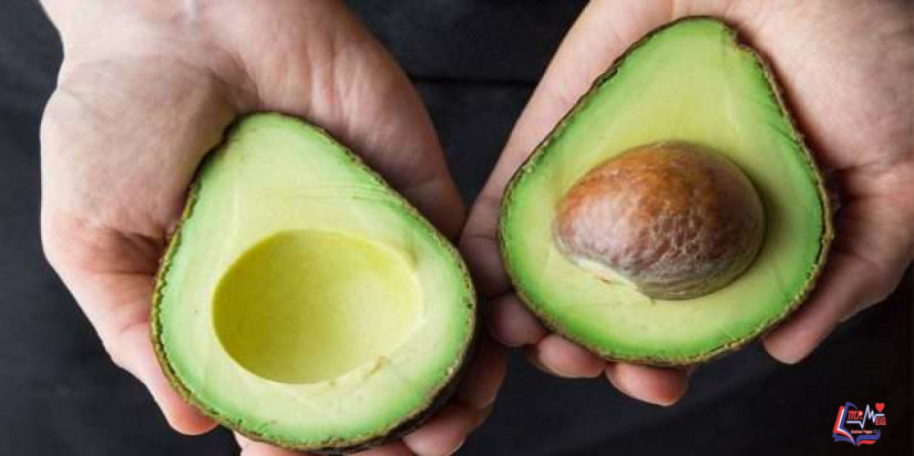 فوائد الأفوكادو للشعر .. الأفوكادو يحافظ على صحة الشعر ونعومته
