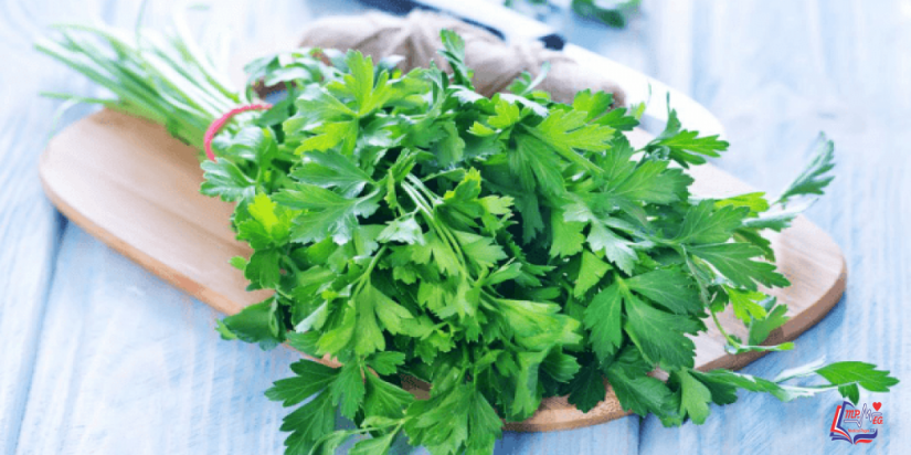 فوائد البقدونس للشعر .. يعالج الكثير من مشكلات الشعر ويعزز نموه