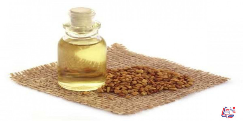 فوائد الحلبة للبشرة .. وفوائد خلط الحلبة مع مستحضرات العناية بالبشرة