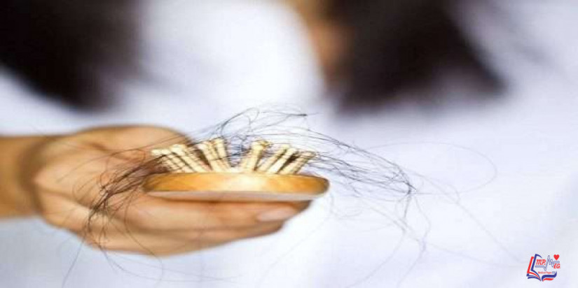 7 أغذية لمنع تساقط الشعر وتقويته .. تعرفي عليها