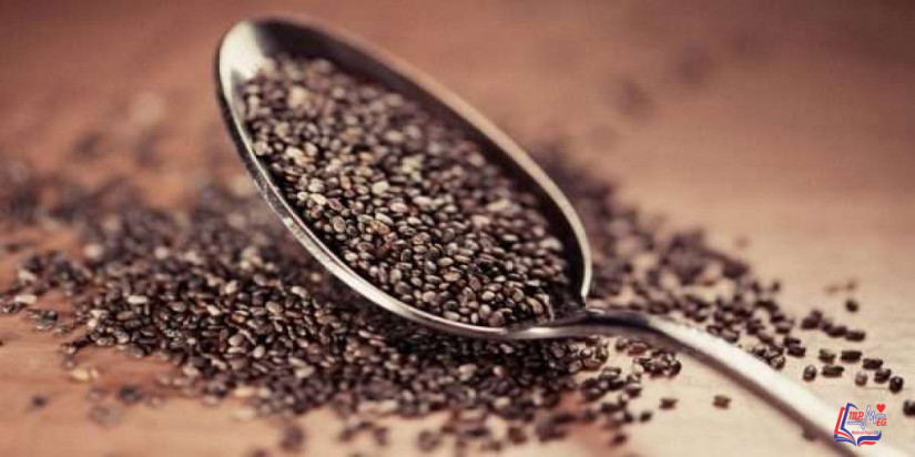 فوائد بذور الشيا للشعر وعناصرها التي تغذي الشعر