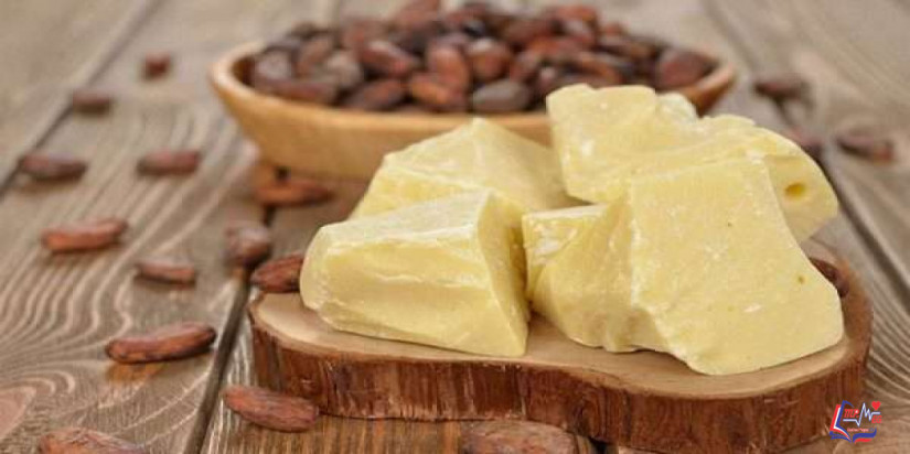 فوائد زبدة الكاكاو للشعر والبشرة..وأهم استخداماتها الجمالية