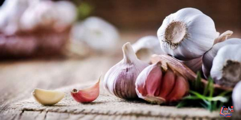 الثوم على الريق كم ينحف ؟