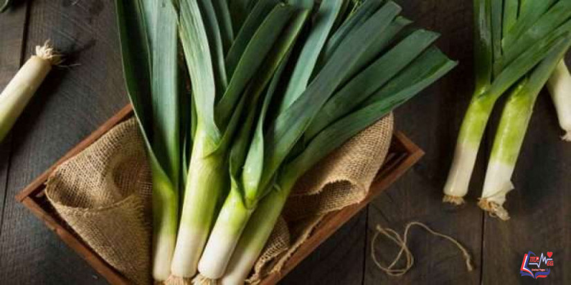 فوائد الكراث وكيف يمكنك إضافته لحميتك؟