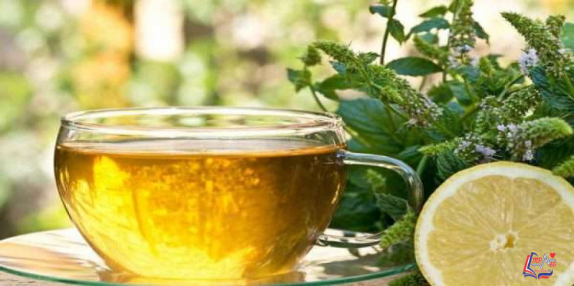 فوائد الشمر والليمون للتنحيف .. تعرفوا عليها معنا