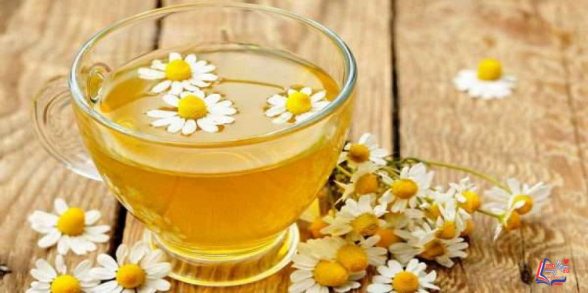 فوائد البابونج للتنحيف .. هل حقاً يساعد على التخسيس؟