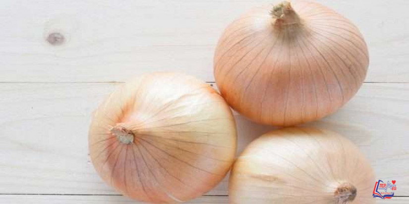 فوائد البصل للرجيم وعدد السعرات الحرارية في البصل
